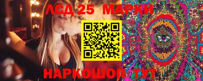 индика Будённовск