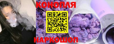 индика Будённовск