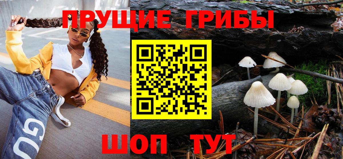 Псилоцибиновые грибы мицелий Сафоново